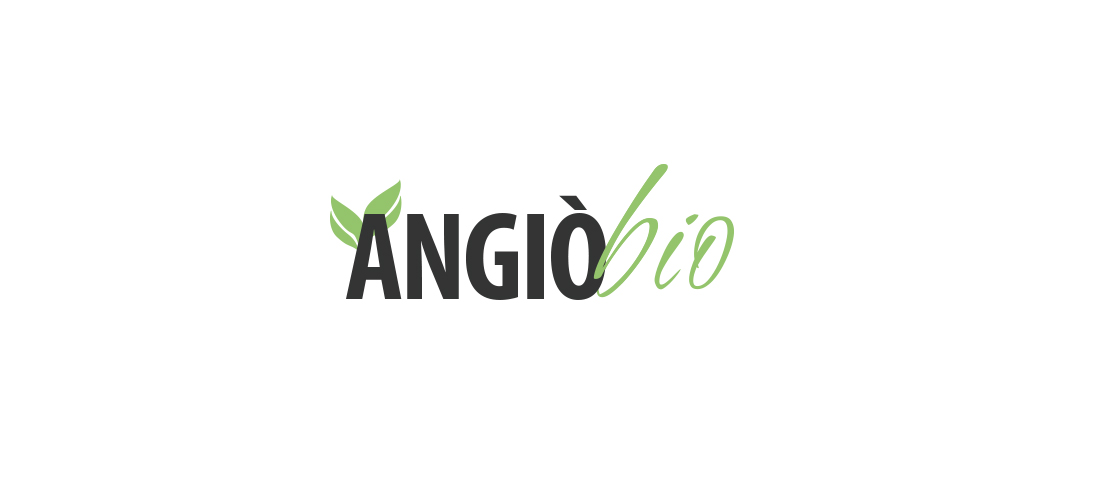 logo-angio