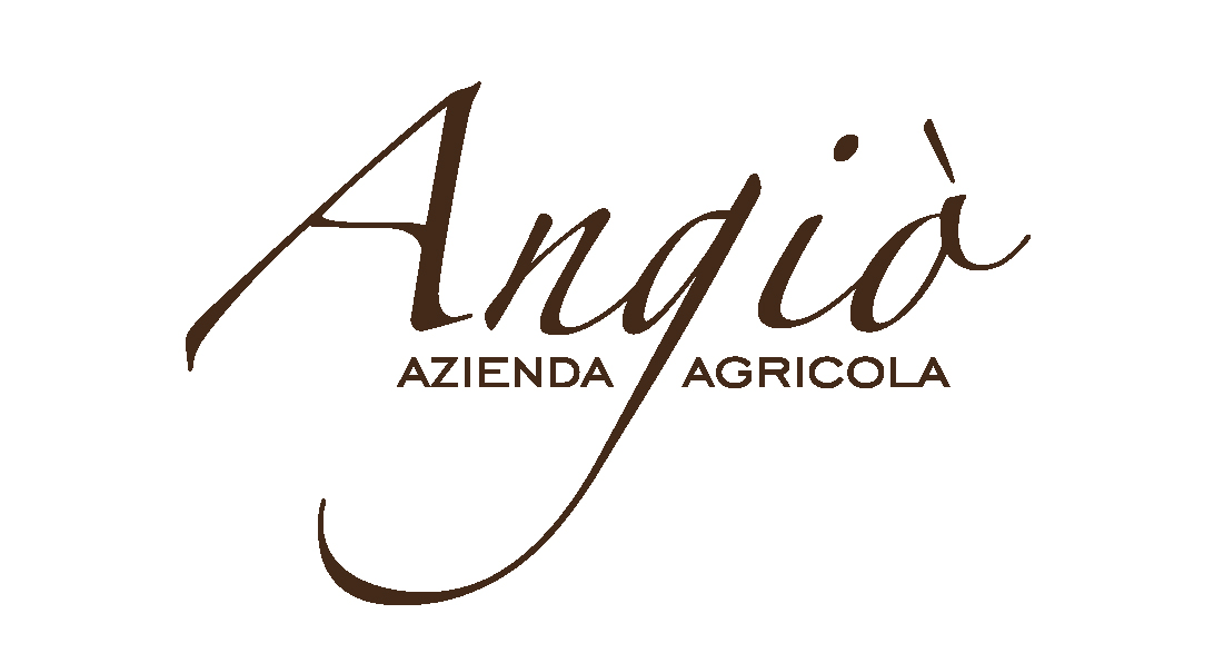 logo-angio_azienda